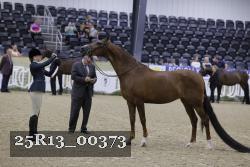 25R13_00373 thumbnail