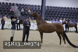 25R13_00374 thumbnail