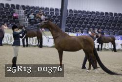 25R13_00376 thumbnail