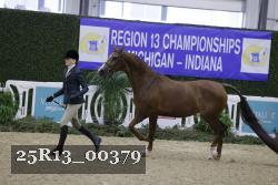 25R13_00379 thumbnail