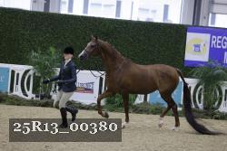25R13_00380 thumbnail