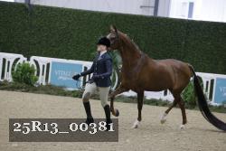 25R13_00381 thumbnail