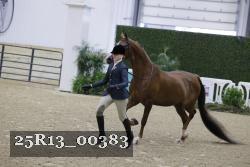 25R13_00383 thumbnail