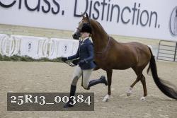 25R13_00384 thumbnail