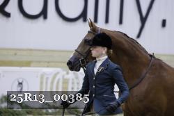 25R13_00385 thumbnail