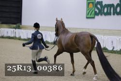 25R13_00386 thumbnail