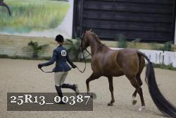 25R13_00387 thumbnail