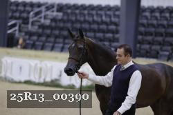 25R13_00390 thumbnail