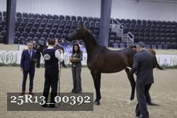 25R13_00392 thumbnail