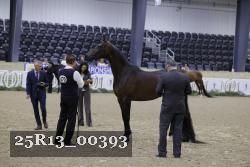 25R13_00393 thumbnail