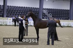 25R13_00394 thumbnail
