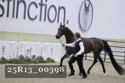 25R13_00398 thumbnail