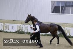 25R13_00400 thumbnail