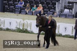 25R13_00401 thumbnail