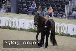 25R13_00402 thumbnail