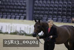25R13_00404 thumbnail