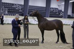 25R13_00407 thumbnail
