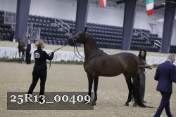 25R13_00409 thumbnail