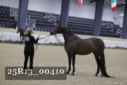 25R13_00410 thumbnail