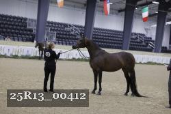 25R13_00412 thumbnail