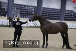 25R13_00413 thumbnail