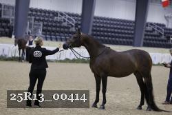 25R13_00414 thumbnail