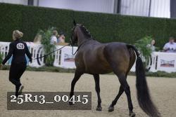 25R13_00415 thumbnail