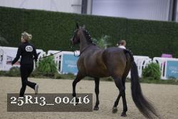 25R13_00416 thumbnail