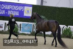 25R13_00417 thumbnail