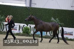 25R13_00419 thumbnail