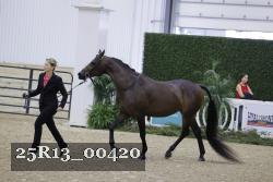 25R13_00420 thumbnail