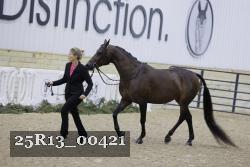 25R13_00421 thumbnail