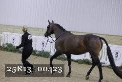 25R13_00423 thumbnail