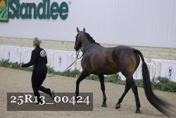 25R13_00424 thumbnail