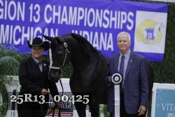 25R13_00425 thumbnail