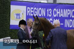 25R13_00441 thumbnail