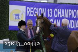 25R13_00442 thumbnail