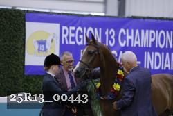 25R13_00443 thumbnail