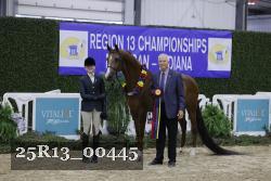 25R13_00445 thumbnail