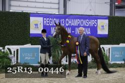 25R13_00446 thumbnail