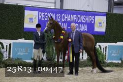 25R13_00447 thumbnail