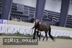 25R13_00449 thumbnail