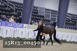 25R13_00450 thumbnail