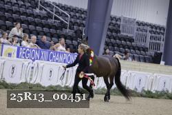 25R13_00451 thumbnail