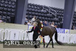 25R13_00452 thumbnail