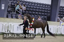 25R13_00454 thumbnail