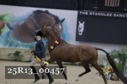 25R13_00457 thumbnail