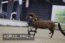 25R13_00459 thumbnail