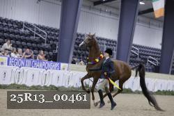 25R13_00461 thumbnail