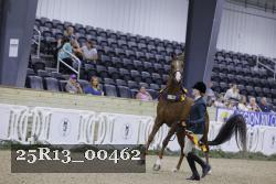 25R13_00462 thumbnail